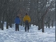 Cross-country Ski in Sapporo