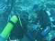 Diving in Jeddah (サウジアラビア)