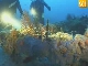 Diving in Omis (クロアチア)