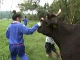 Green Tourism in Oita (日本)