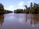 Kerala backwaters