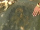 Petroglyphs of Armenia