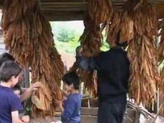 صور Rural life in Adjara جمعيّة