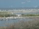 Swan Islands, Nature Reserve