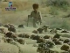 Sheep breeding in  Turkmenistan