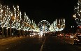 The Avenue des Champs-Elysees صور