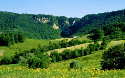 Franche-Comté is a place for tourists who love nature, tranquility and delicious food. There are rivers full of trout, mushrooms and berries in forests, amazing variety of local cheeses and excellent cooks, to prepare all these 