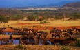 Serengeti National Park صور