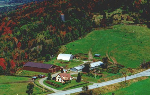 State of Tennessee attracts tourists by the highest mountain Klingmans-Dome (6,643 feet) and splendid local whiskey Jack Daniels