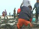 Alaska clam harvest