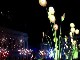 Festival of Lights in Lyon