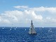 Horta Sailing