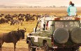 Safari in the Ngorongoro 图片