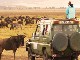 Safari in the Ngorongoro